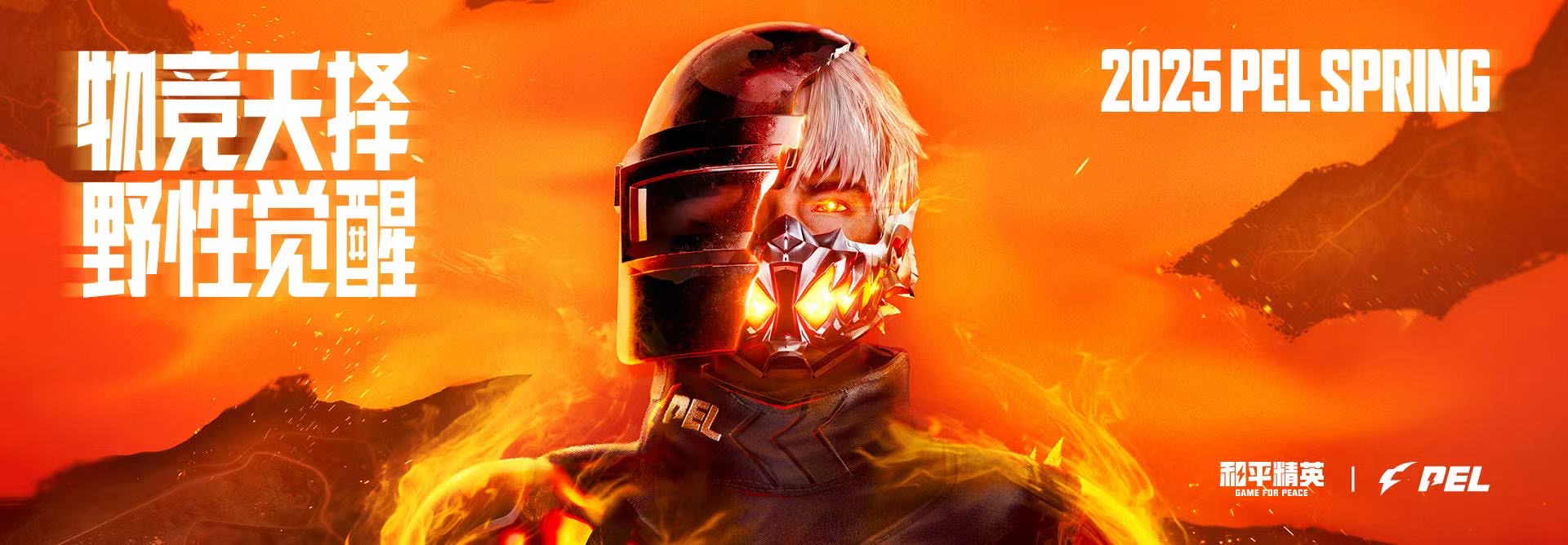 和平精英辅助【星光】